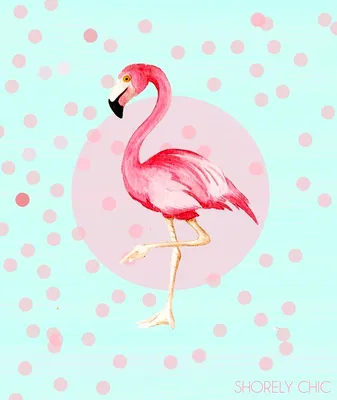 милый розовый фламинго с мороженым. Фриканская картинка. Иллюстрация  вектора - иллюстрации насчитывающей эскимо, тропик: 237926997