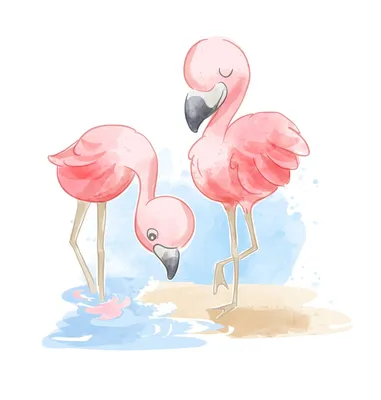 Интересные картинки фламинго: выберите подходящий размер и формат | Фламинго  Фото №19258 скачать