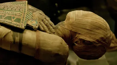 Внутри египетской мумии обнаружили необычный артефакт - РИА Новости,  26.11.2020