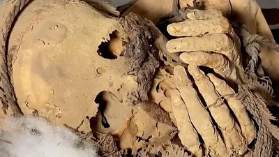 Самый древний фейспалм в мире? В Перу найдена мумия, закрывающая лицо  руками - BBC News Русская служба