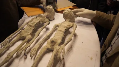 Целых 5 мумий «пришельцев» из Перу. Экспертиза АНТРОПОГЕНЕЗ.РУ -  Антропогенез.РУ