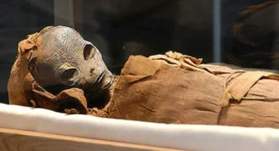 Крылатая мумия возрастом 10 тысяч лет. Что рассказал о находке в Турции  археолог? | BIOсфератум | Дзен