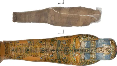 Впервые обнаружена древнеегипетская мумия в глиняной оболочке - РИА  Новости, 03.02.2021