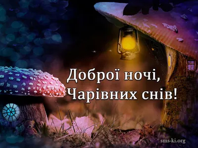 Картинки на добраніч, солодких снів та доброї ночі українською мовою  (постійне оновлення) - West Wild | Захід Дикий