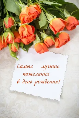 Всем родившимся в декабре мои поздравления и наилучшие пожелания!:) ::  Светлана Павлова – Социальная сеть ФотоКто