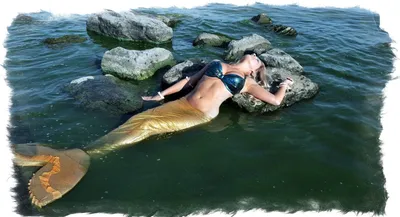 Хвост русалки Delfina 3D Sea Queen Cariba +купальник с ракушками с большой  моноластой для плавания как настоящий силиконовый хвост русалки