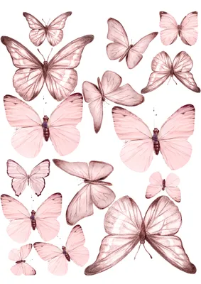 нежно розовые бабочки | Borboletas desenho, Decoração de festa de  borboletas, Festa de borboletas