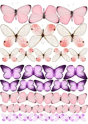бабочки нежные #бабочкитагуи #buterfly #бабочкикрасивые | Бумажные бабочки,  Рыбные иллюстрации, Рисунки