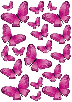 Красивые розовые бабочки рисунок - 59 фото