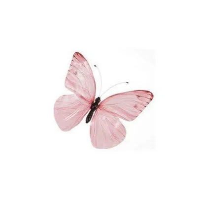 Нежно розовые бабочки на белом фоне - фото и картинки: 75 штук