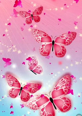 Красивые Две Розовые Бабочки Изолированы На Белом Фоне — стоковые  фотографии и другие картинки Бабочка - iStock