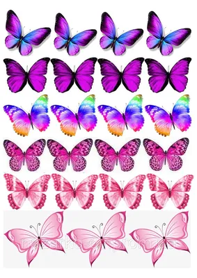 Розовые бабочки на прозрачном фоне - 79 фото