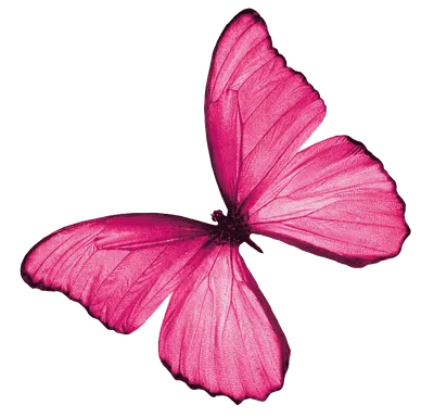 Розовый фон с бабочками (64 фото)