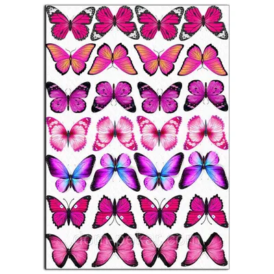 Красивые розовые бабочки на пастельной фоне с сердцем. Модель безшовная  вектора. Иллюстрация вектора - иллюстрации насчитывающей картина, муха:  184839757