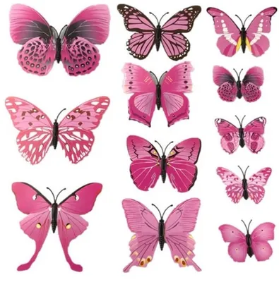Красивые Розовые Бабочки, Изолированных На Белом Фотография, картинки,  изображения и сток-фотография без роялти. Image 87836571