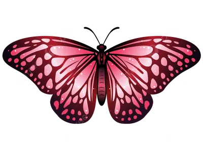ручная роспись розовая бабочка, рука, красиво, мечта png | Klipartz