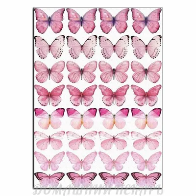 Розовая бабочка картинка | Сравнить цены и купить на Prom.ua