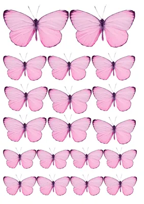Розовая бабочка картинка | Сравнить цены и купить на Prom.ua