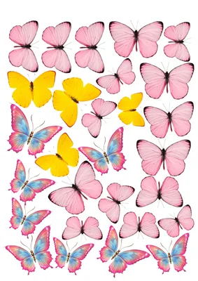 Бумажные цветы и бабочки - 62 фото