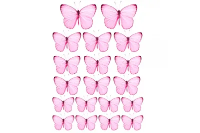 Разные бабочки - 78 фото