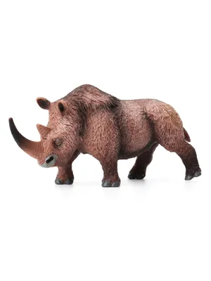 Носорог раскраска - 71 фото