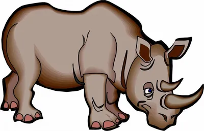 Раскраски нос, Раскраска Носорог носорог картинка носорог рисунок носорога  разукрашка для детей детский рисунок Носорог.