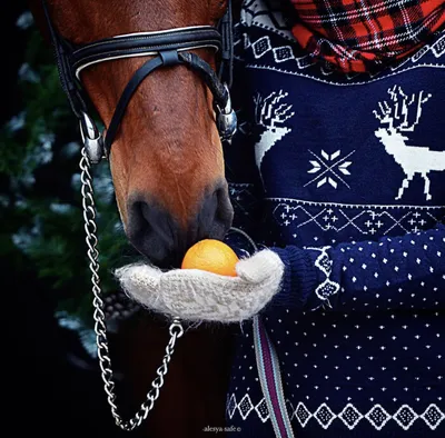 Статуэтка новогодняя \"лошадь-качалка\" 25х7х23см – купить в Украине | ТОП  новогодние фигурки на Vip Posuda
