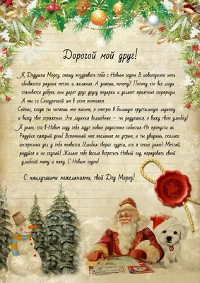 Письмо от Деда Мороза цвет красный, конверт бланк по цене 45 ₽/шт. купить в  Новокузнецке в интернет-магазине Леруа Мерлен