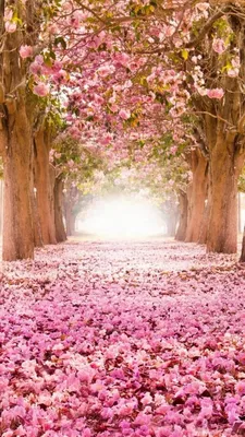 Обои весна, дерево, природа, акварельные краски, расцвет на телефон  Android, 1080x1920 картинки и фото бесплатно