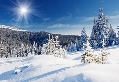 Фотообои Снег и солнце купить на стену • Эко Обои
