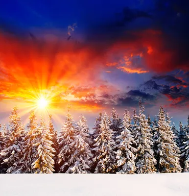 Зима - фотообои на заказ по цене интернет магазин arte.ru. Заказать обои  Зима (23464)