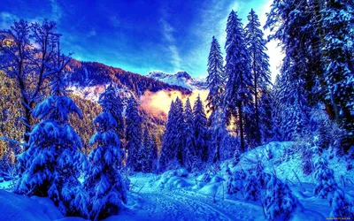 Обои Winter Природа Зима, обои для рабочего стола, фотографии winter,  природа, зима, горы, хвойный, лес, утро, свет, дымка, снег, тропинка Обои  для рабочего стола, скачать обои картинки заставки на рабочий стол.