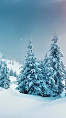 Обои зима, forest, trees, snow, winter, 5k, Природа #17411