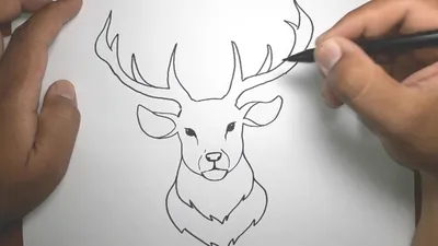 Как нарисовать оленя карандашом и гуашью для детей | Рисунок поэтапно для  срисовки - YouTube