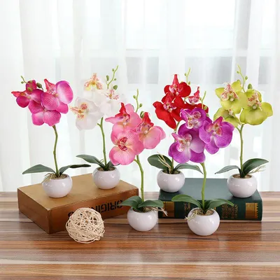 Обои на рабочий стол: Орхидея, Крупный План, Ветка, Фон, Зелень, Цветы -  скачать картинку на ПК бесплатно № 121206