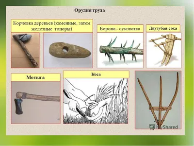 Презентация по истории на тему \"Восточнославянские племена и их соседи\"