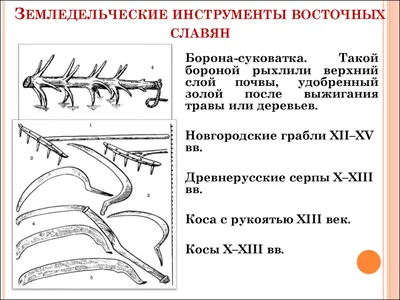 Жизнь древних славян - презентация, доклад, проект