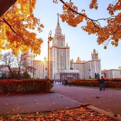 Золотая осень в Москве: синоптик рассказал о погоде в столице - МК