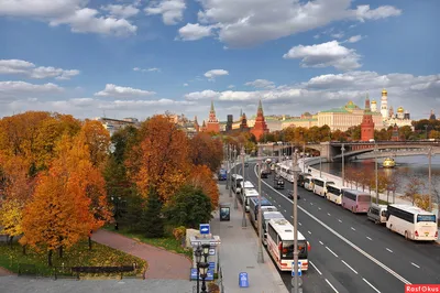 Осень в Москве может стать самой теплой за 100 лет