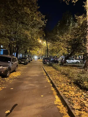 Куда сходить и чем заняться осенью в Москве