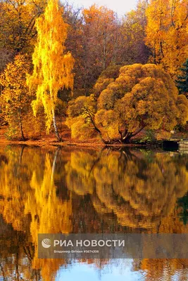 Золотая осень на юго-западе Москвы