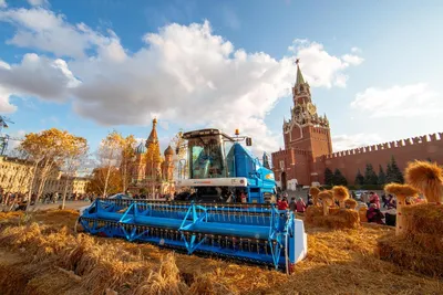Осень в Москве» — создано в Шедевруме