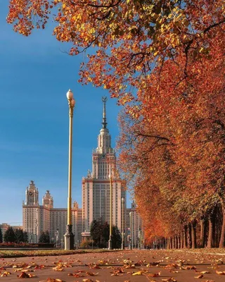 Осень 2022 в Москве: фото, Кусковский лесопарк, погода в Москве - 14  октября 2022 - msk1.ru