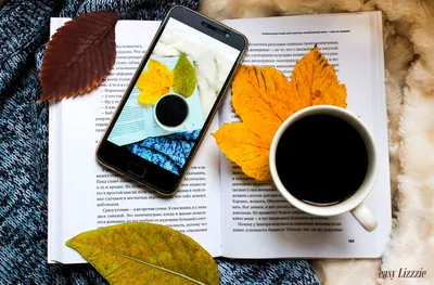 Обои на телефон Осень, скачать осенние картинки | Zamanilka