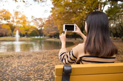 Бесплатное изображение: рука, мобильный телефон, палец, трава, природа,  снимок, осень