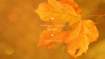 Скачать обои Осенний пейзаж на рабочий стол из раздела картинок Осень