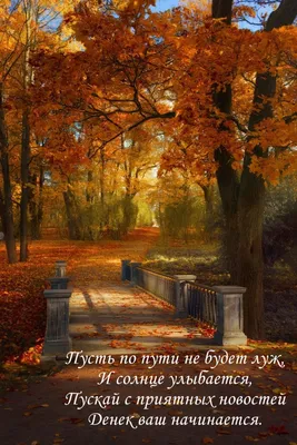 Картинки пожелания \"Осеннего настроения\" (81 фото)