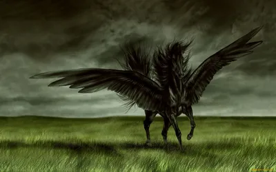 Пегас: Крылатый конь из греческой мифологии | Обратная сторона  Истории|Легенды | Дзен