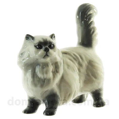 Милый рыжий персидский кот на белом фоне :: Стоковая фотография ::  Pixel-Shot Studio