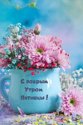 Доброе утро, сегодня пятница!!! Позитива на весь день🌸 Завтра выходной) |  ВКонтакте
